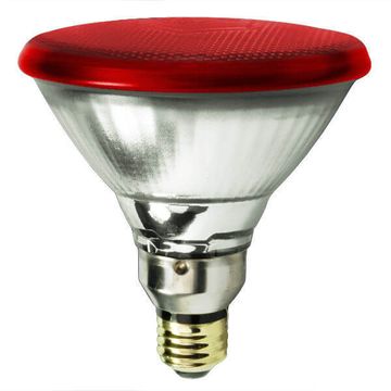 Philips Infraphil Infrared Replacement Bulb 150W
