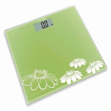 Camry Digital color Weight Scale