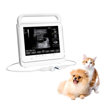 BMV PT50C TouchScreen Vet Portable Ultrasonography