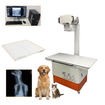 RUIGE RG-972 Veterinary Digital X-Ray Machine