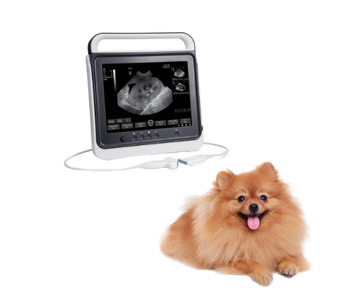 Waleeta WUB-P3 Veterinary Touch B/W Ultrasound System