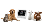 veterinary Accessories